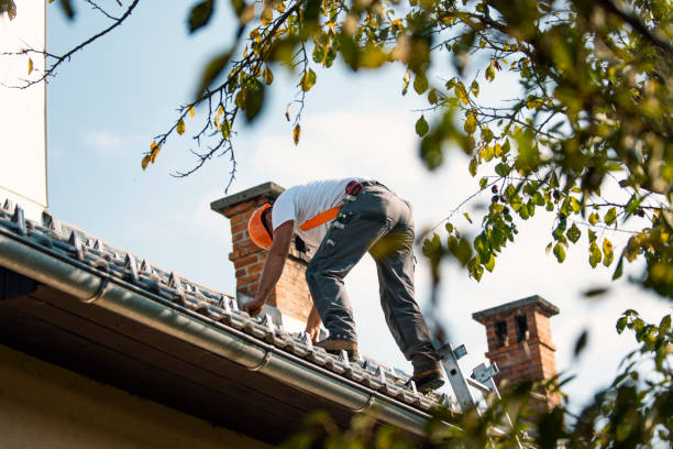 Best Roof Gutter Cleaning  in Fox Point, WI