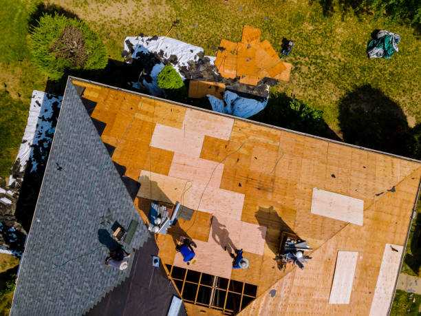 Best Shingle Roofing Installation  in Fox Point, WI