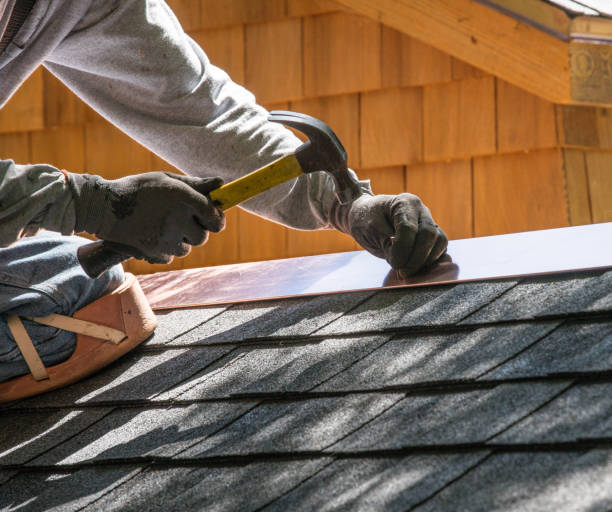 Roof Gutter Cleaning in Fox Point, WI